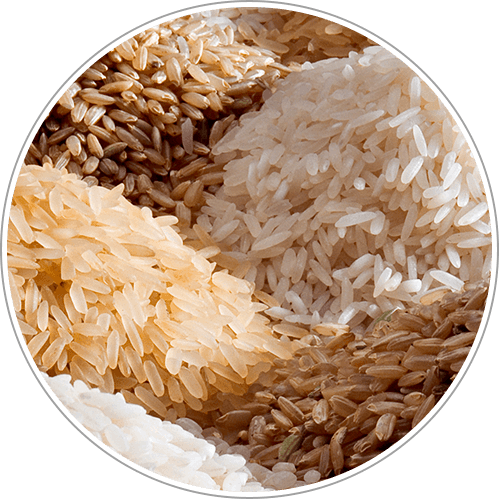 form-of-rice