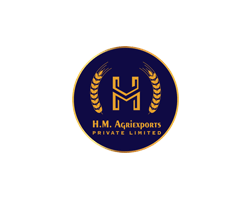 H&m hotsell pvt ltd